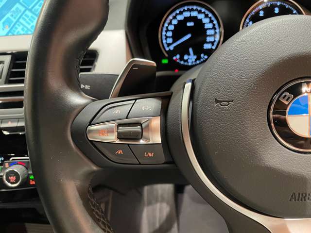 BMW X1 10