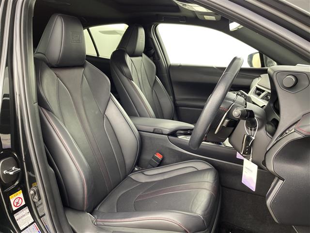 Lexus UX 11