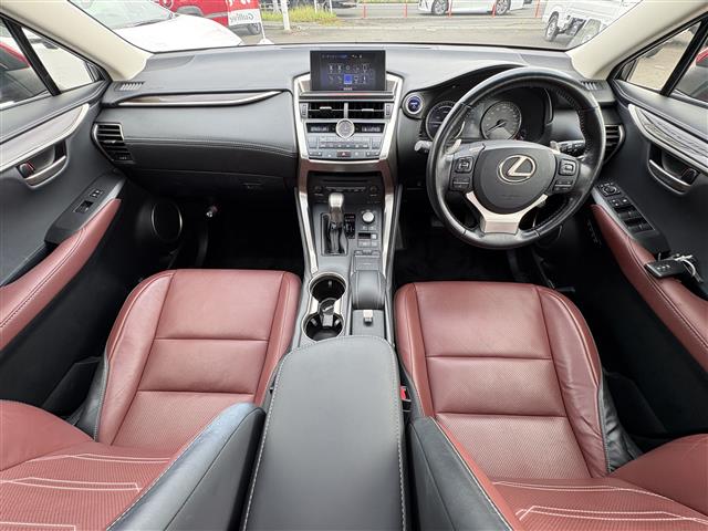 Lexus NX 4