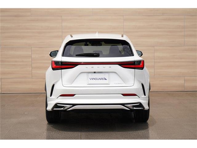 Lexus NX 11