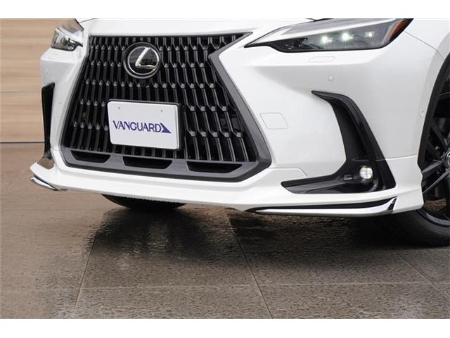 Lexus NX 7