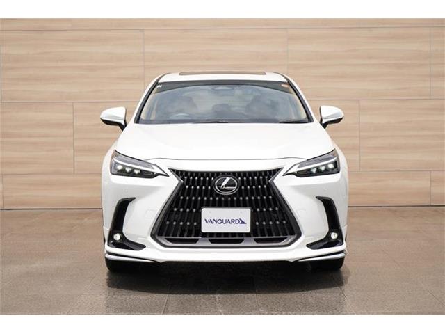 Lexus NX 10
