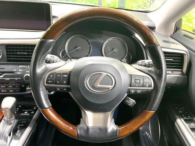 Lexus RX 11