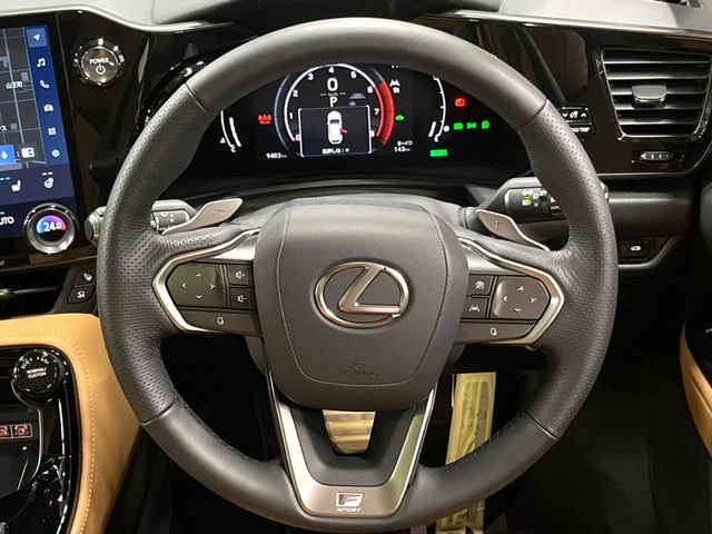 Lexus NX 11