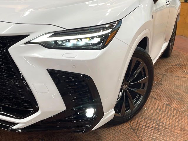 Lexus NX 12