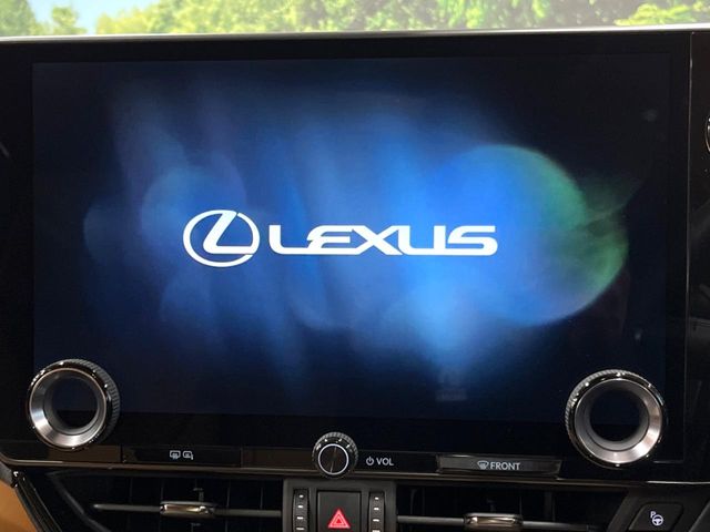 Lexus NX 4