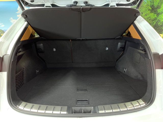 Lexus NX 10