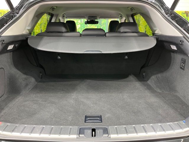 Lexus RX 10