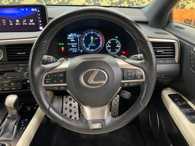 Lexus RX 11