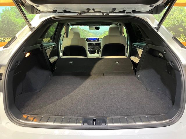 Lexus RX 10