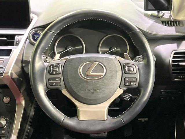 Lexus NX 11