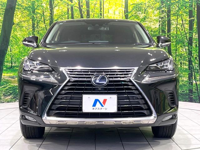 Lexus NX 12