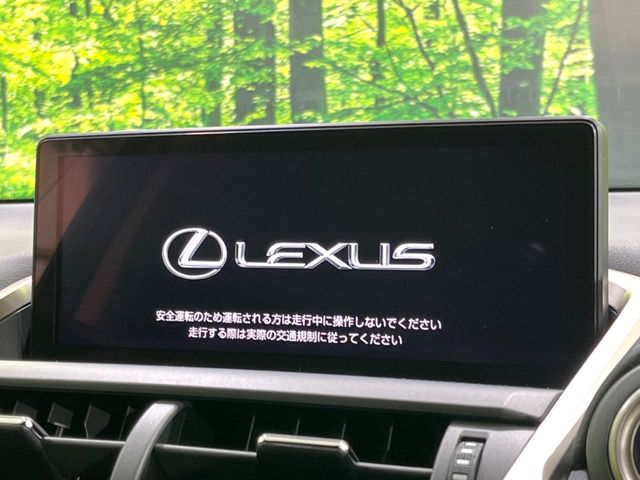 Lexus NX 3