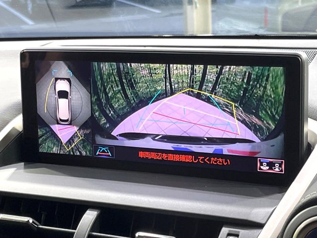 Lexus NX 4