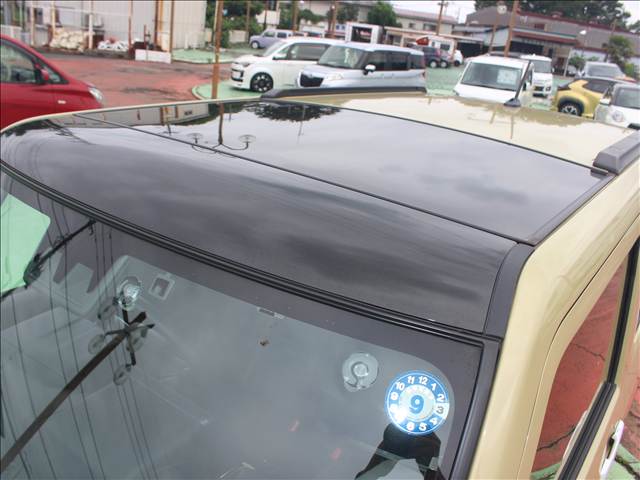 Daihatsu Taft 8