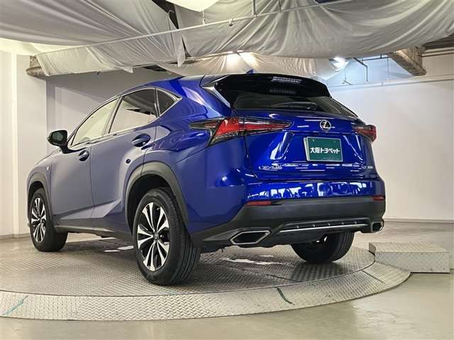 Lexus NX 6