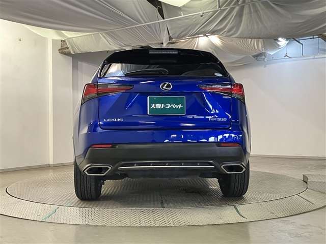 Lexus NX 7