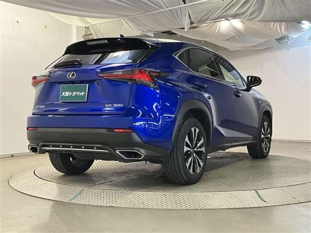 Lexus NX 8