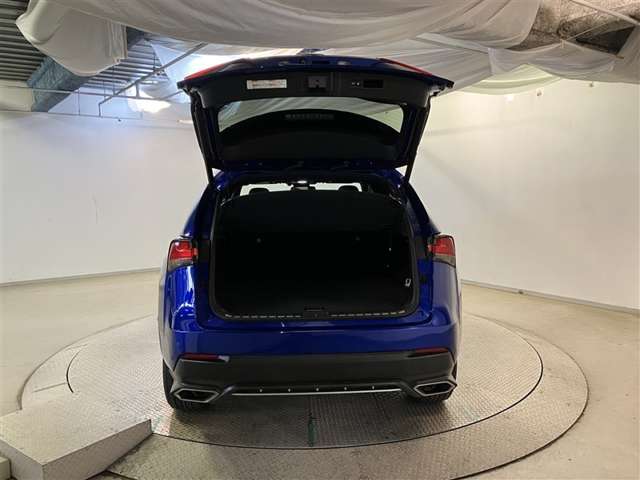 Lexus NX 9