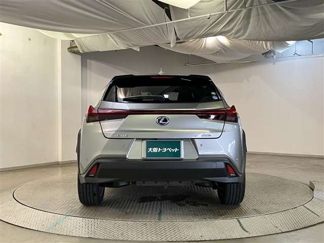 Lexus UX 7