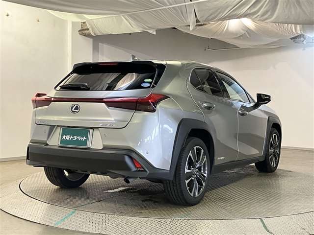 Lexus UX 8