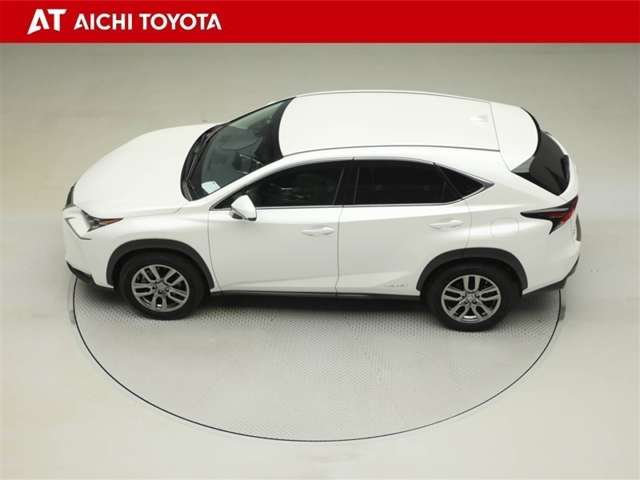 Lexus NX 11