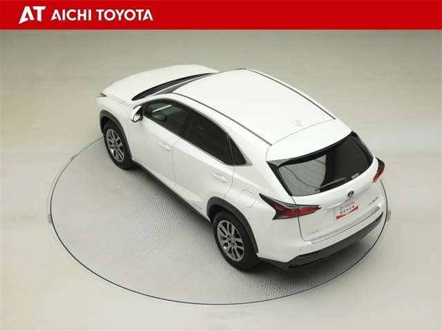 Lexus NX 12