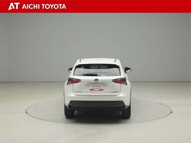 Lexus NX 5