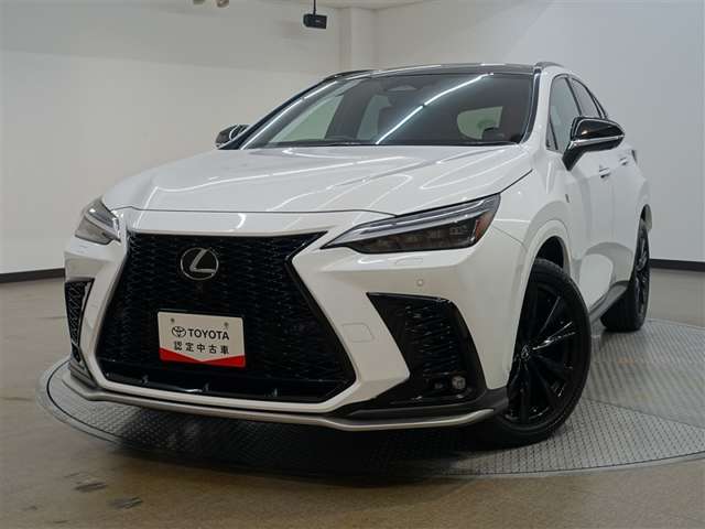 Lexus NX 6