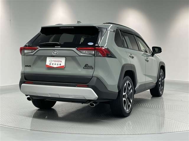 Toyota RAV4 10