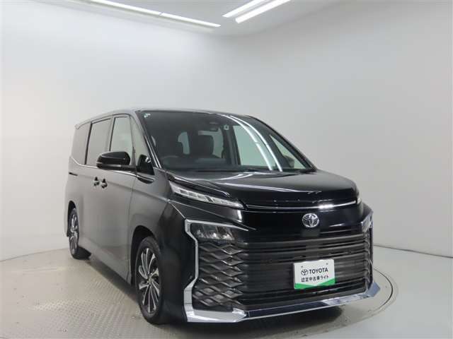 Toyota Voxy 10