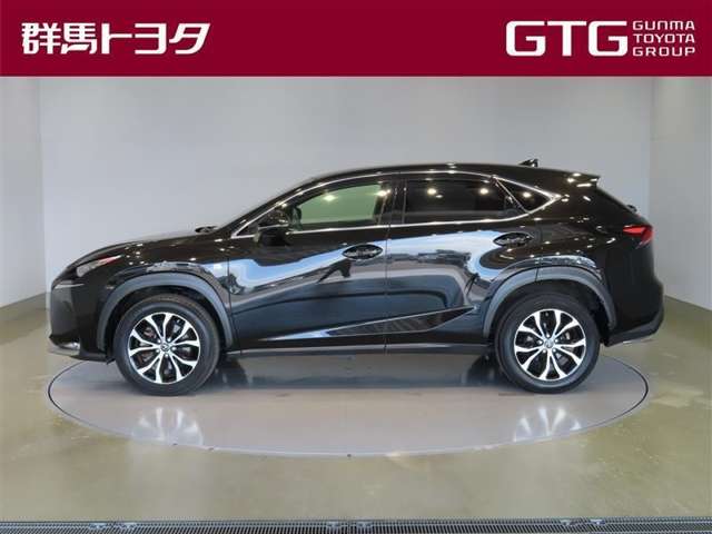 Lexus NX 4