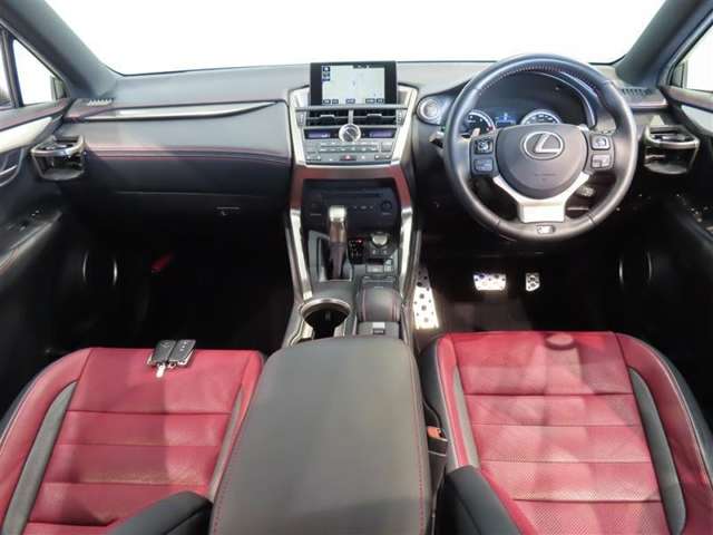 Lexus NX 6
