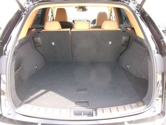 Lexus NX 11