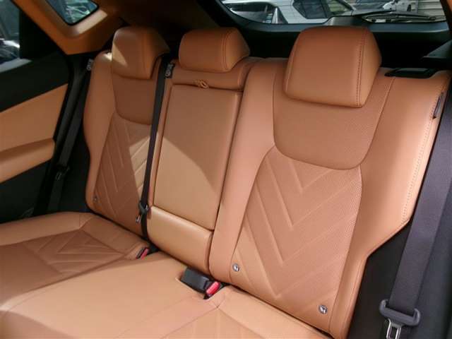 Lexus NX 10