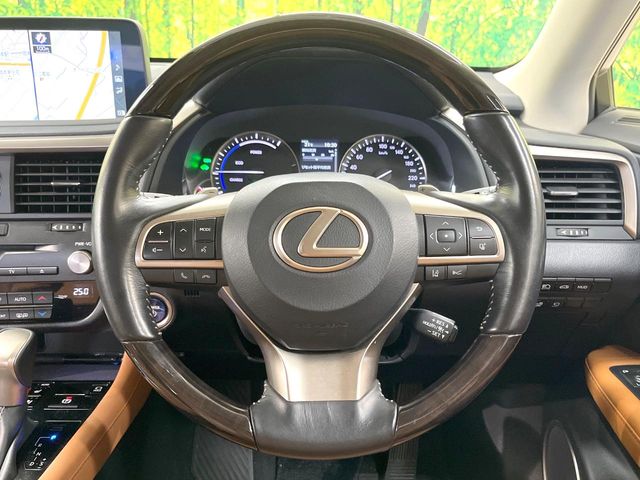 Lexus RX 11