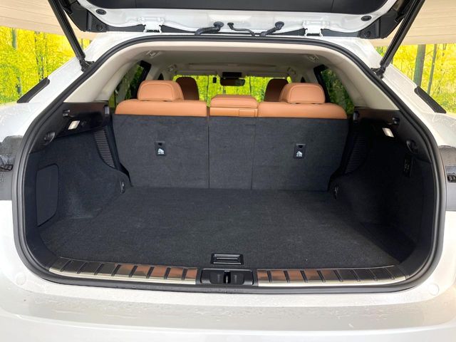 Lexus RX 10