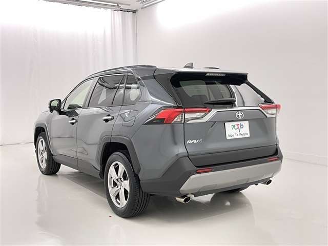 Toyota RAV4 6