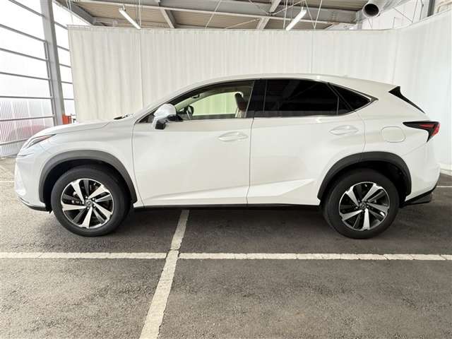 Lexus NX 6