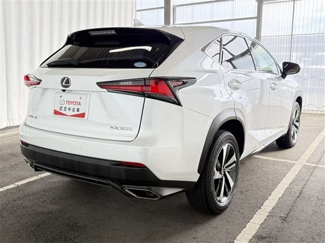 Lexus NX 7