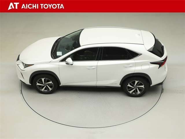 Lexus NX 11