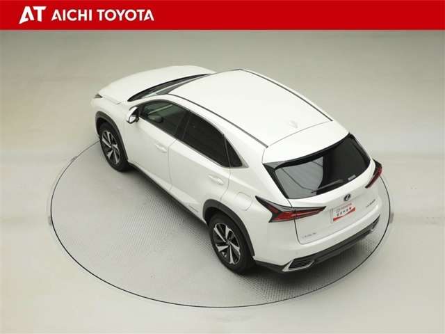 Lexus NX 12