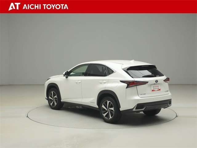 Lexus NX 4