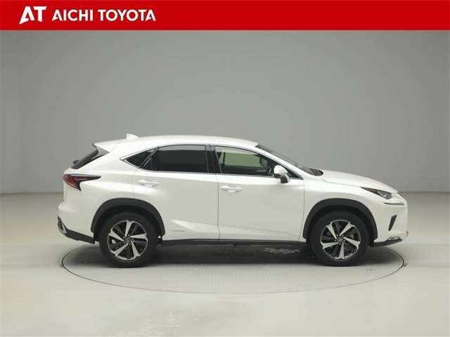 Lexus NX 7