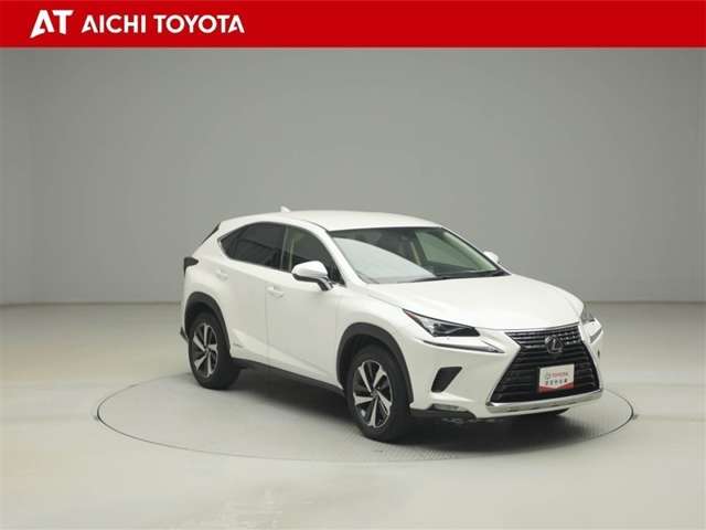 Lexus NX 8