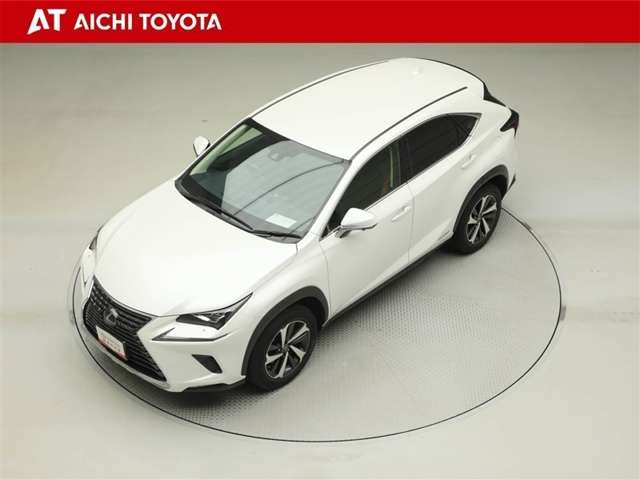 Lexus NX 10