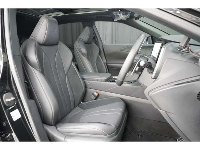 Lexus RX 11