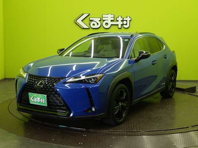 Lexus UX 11