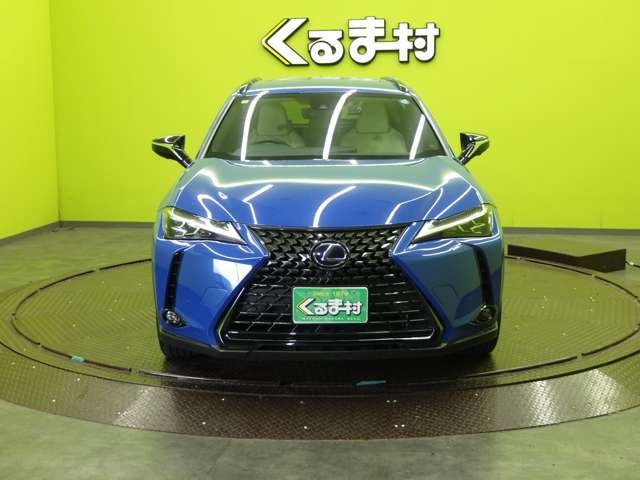 Lexus UX 12