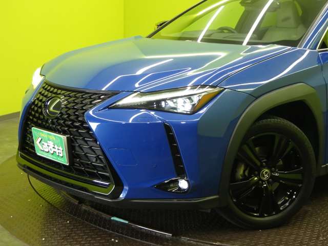 Lexus UX 9